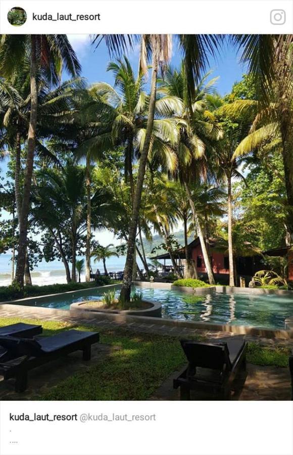 Lodge Kuda Laut