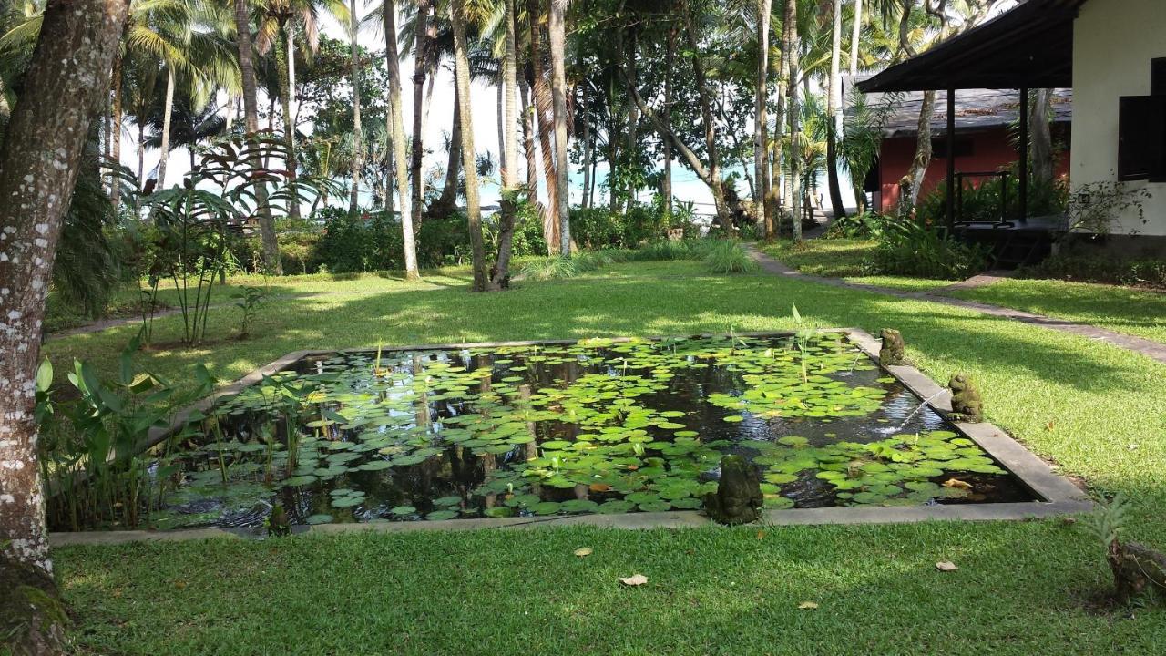 Lodge Kuda Laut Cisolok