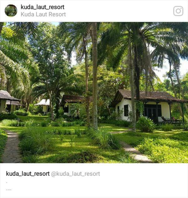 Kuda Laut Cisolok