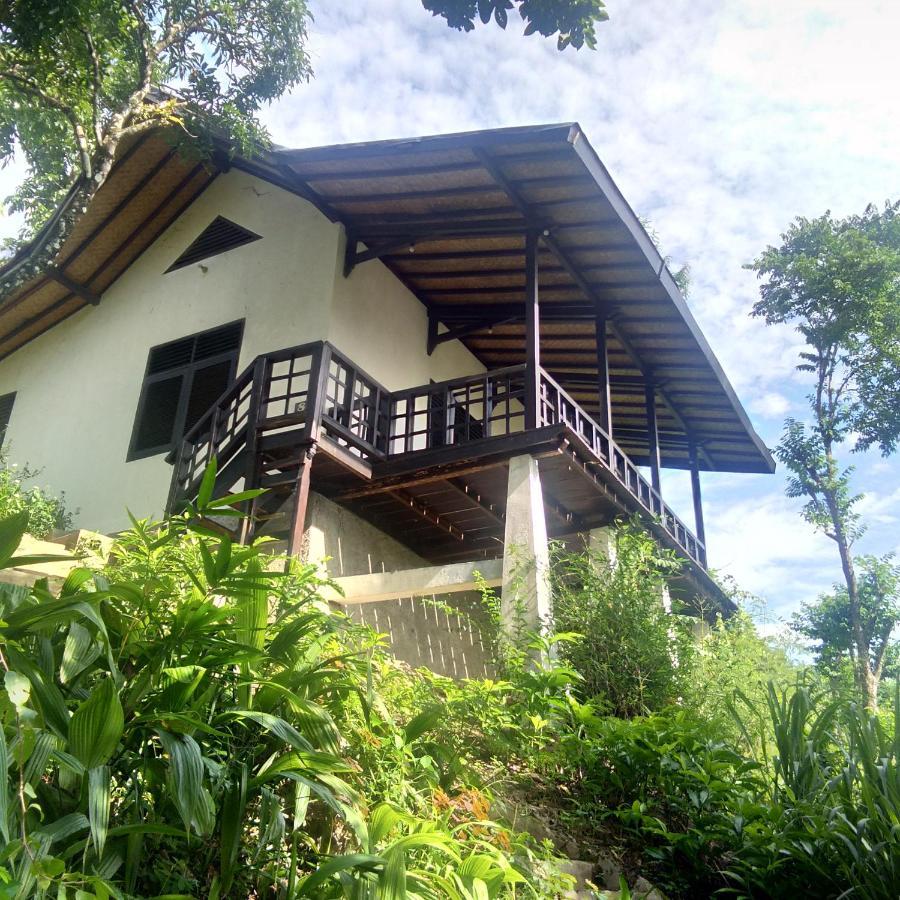 Lodge Kuda Laut *