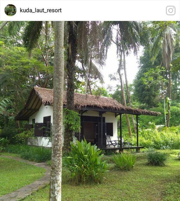 Lodge Kuda Laut Cisolok