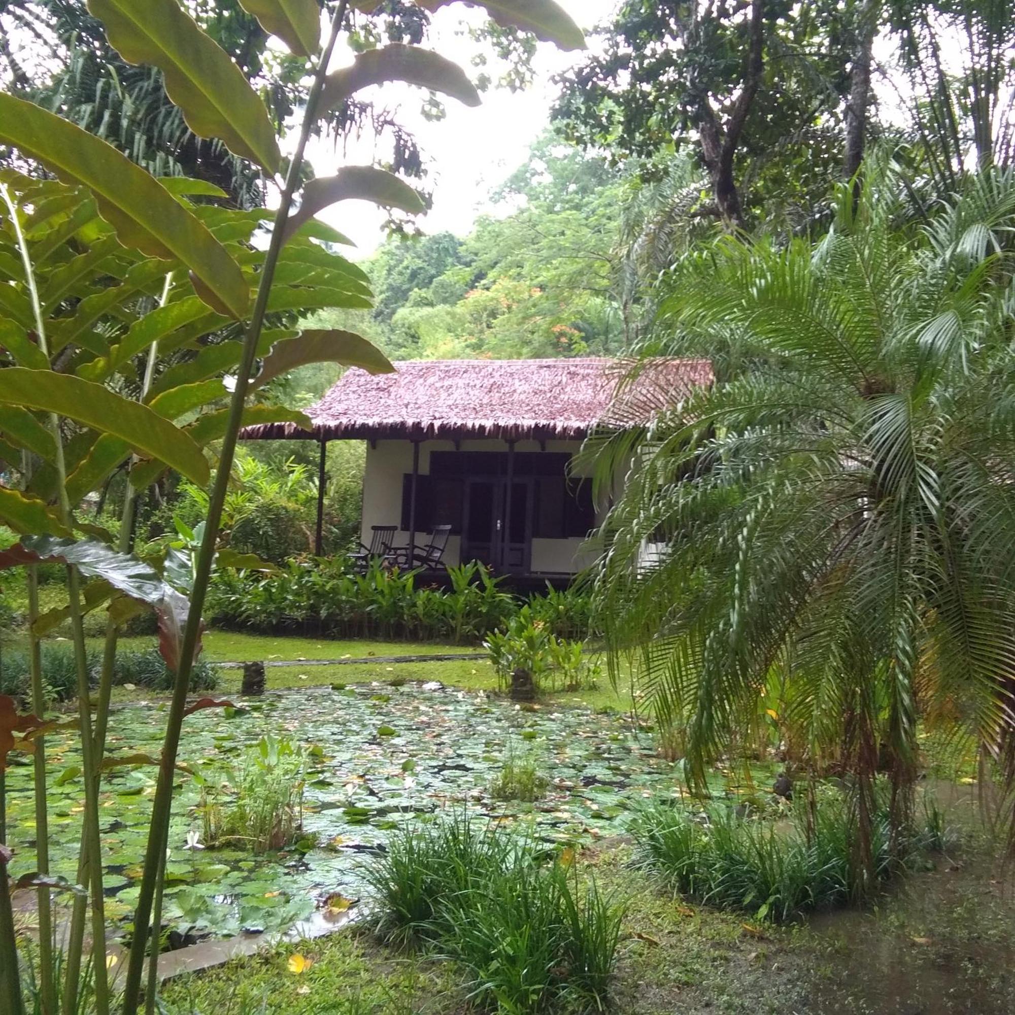 Kuda Laut Lodge Cisolok